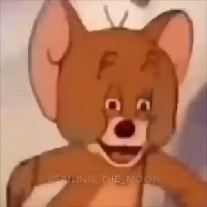 Meet your Posher, Lizbeth